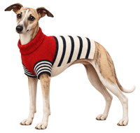 Hound Dog Gif Sticker by MISTER WOOF