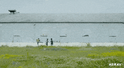 Drag Alaska GIF by ARRAY