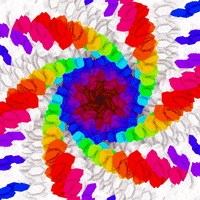 Loop Rainbow GIF by xponentialdesign