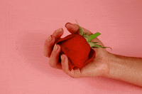 Losing Music Video GIF by Sub Pop Records