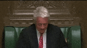 John Bercow Nod GIF