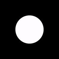 Loop Blender GIF by TyloBrembele