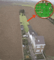 Red Arrow Garden GIF