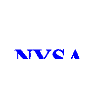 Nysadesign Sticker by NYSA