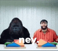 Ney Recep GIF
