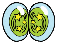 Star Eyes Sticker