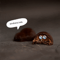 tortiniko meme niko меме tortiniko GIF