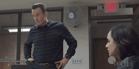 Conceal Dick Wolf GIF by Wolf Entertainment