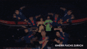 Paris Saint-Germain Football GIF by Herr Fuchs Zurich