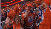 Ice Hockey GIF by NHL