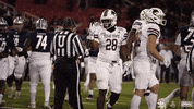 Adidas Bobcats GIF by Texas State Football