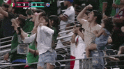GIF by MiSelecciónMX