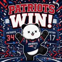Winning New England Patriots GIF by Kanpai Pandas