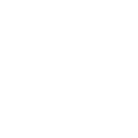 Lettering Line Sticker