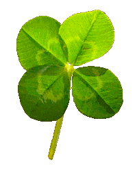 Clover Good Luck Sticker