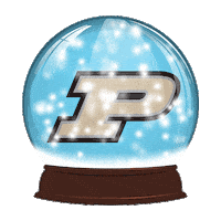 Black And Gold Snow Sticker by Purdue University