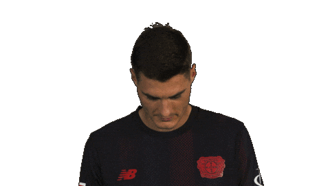 Look Up Bayer Leverkusen Sticker by Bundesliga
