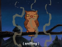 hey arnold nicksplat GIF