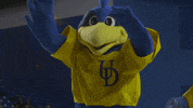 BlueHens excited jump hype mascot GIF