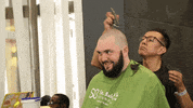 hair st GIF by Western Illinois University