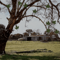 RayWhiteGroup  GIF