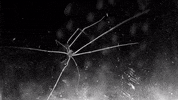 GIF by Gunpowder & Sky