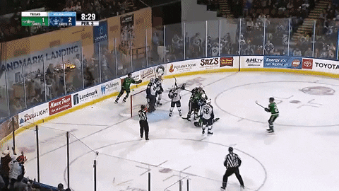 GIF by Milwaukee Admirals
