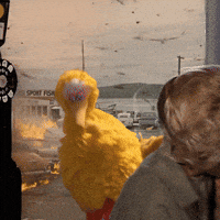 Sesame Street Bird GIF by Bell Brothers