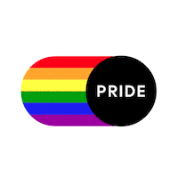 Compass Pride Sticker by Compass