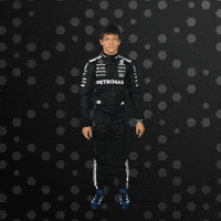 Formula One Kiss GIF by Mercedes-AMG Petronas Formula One Team