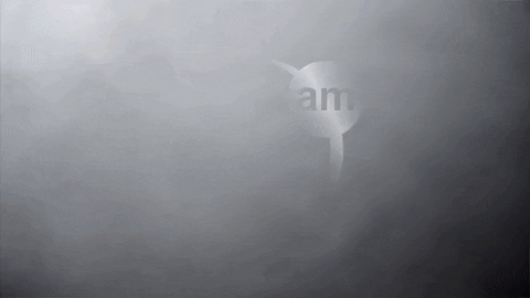 irizarry giphygifmaker GIF
