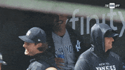Happy New York GIF by YES Network