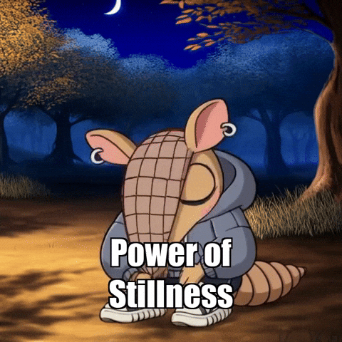 Stillness Stability GIF by Chillo Dillo