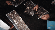 Season 3 Nbc GIF by Manifest