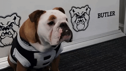 Happy Hi 5 GIF by Butler University