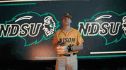 Ndsu Baseball GIF by NDSU Athletics
