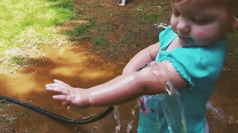 beauty garden GIF