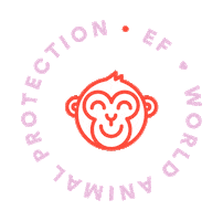 Cruelty Free Monkey Sticker by EF Education First