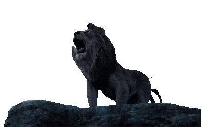 Lion King Sticker by Wavents