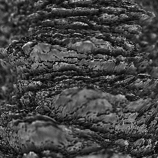 Black And White Loop GIF by xponentialdesign