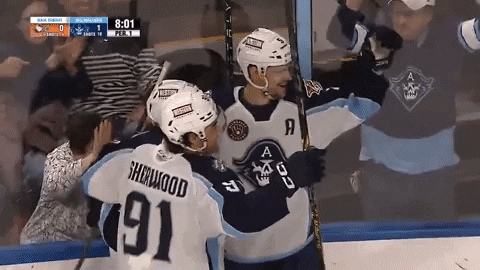 GIF by Milwaukee Admirals