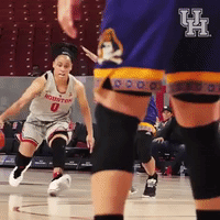 university of houston crossover GIF by Coogfans