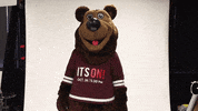 missouristate boomer missouri state missouri state bears missouristate GIF