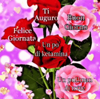 Rose Fiori GIF