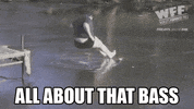 Meme gif. Man jumps from a dock onto a frozen lake and skids across the surface, cracking it. Text reads, "All about that bass."