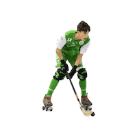 Rollhockey Sticker by RSC Cronenberg