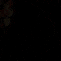 Feliz Cumpleaños GIF by Zhot