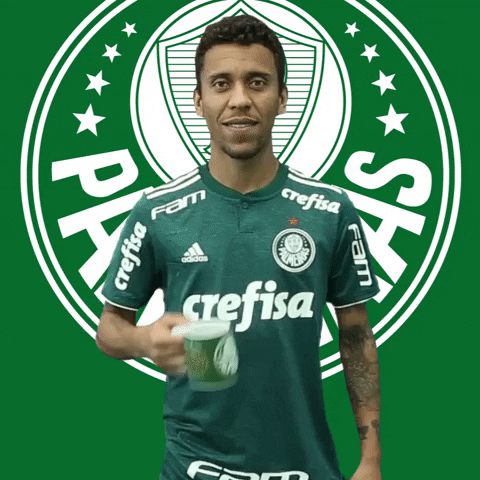 sono bom dia GIF by SE Palmeiras