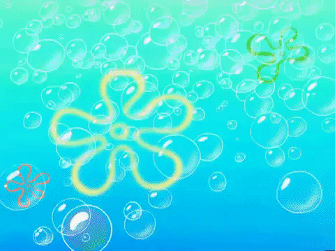 season 5 GIF by SpongeBob SquarePants