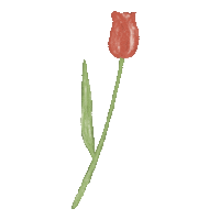 Flower 花 Sticker